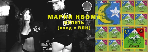 СК Новодвинск
