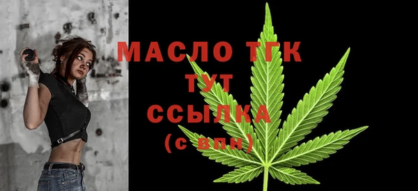 СК Новодвинск