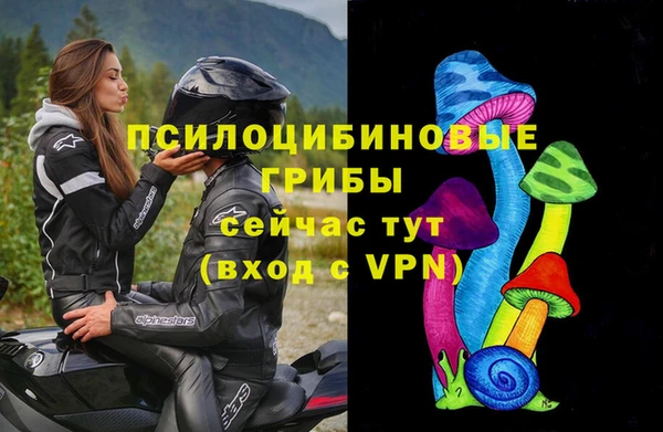 Альфа ПВП Новозыбков