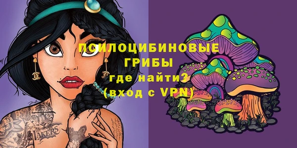Альфа ПВП Новозыбков