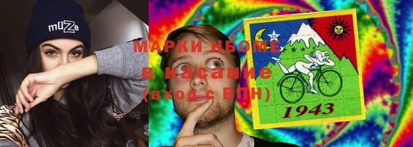 СК Новодвинск