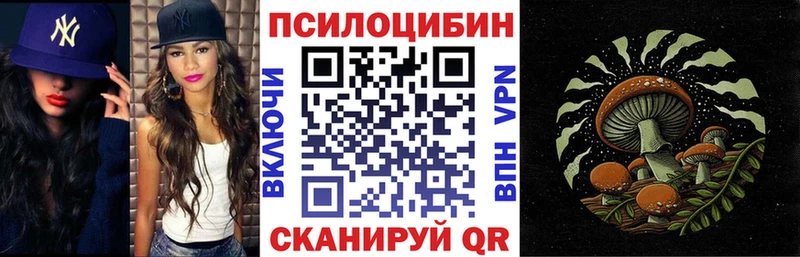 сколько стоит  Чишмы  Псилоцибиновые грибы GOLDEN TEACHER 